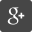 icon_gplus